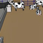 Compost barn: presente em 22% das fazendas do Top 100, produtores relatam experiências com o sistema