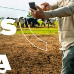 Viana na lida: inspiração digital