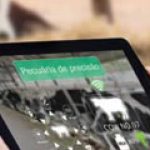Adoção de ferramentas de precisão na pecuária leiteira