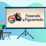 Fazenda Figueiredo é destaque na criação de bezerras