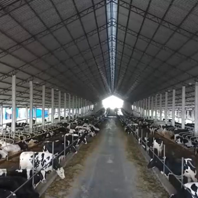 2ª maior produtora de leite do Brasil, MelkStad aposta na OnFarm para o controle da mastite