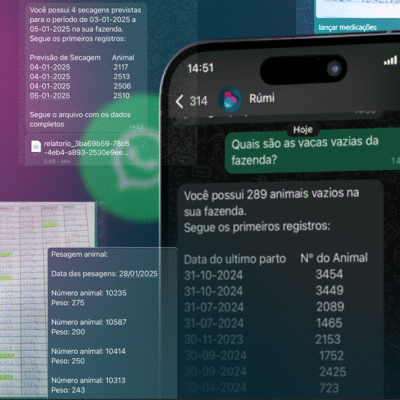 Falar, registrar e decidir: confira como a Rúmi está transformando as fazendas em segundos (e pelo WhatsApp!)
