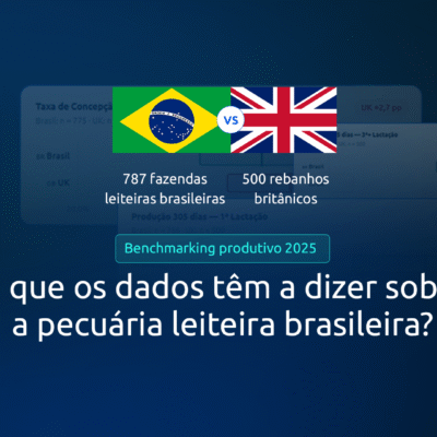 O que 787 fazendas e um benchmark britânico têm a dizer sobre a pecuária leiteira brasileira?